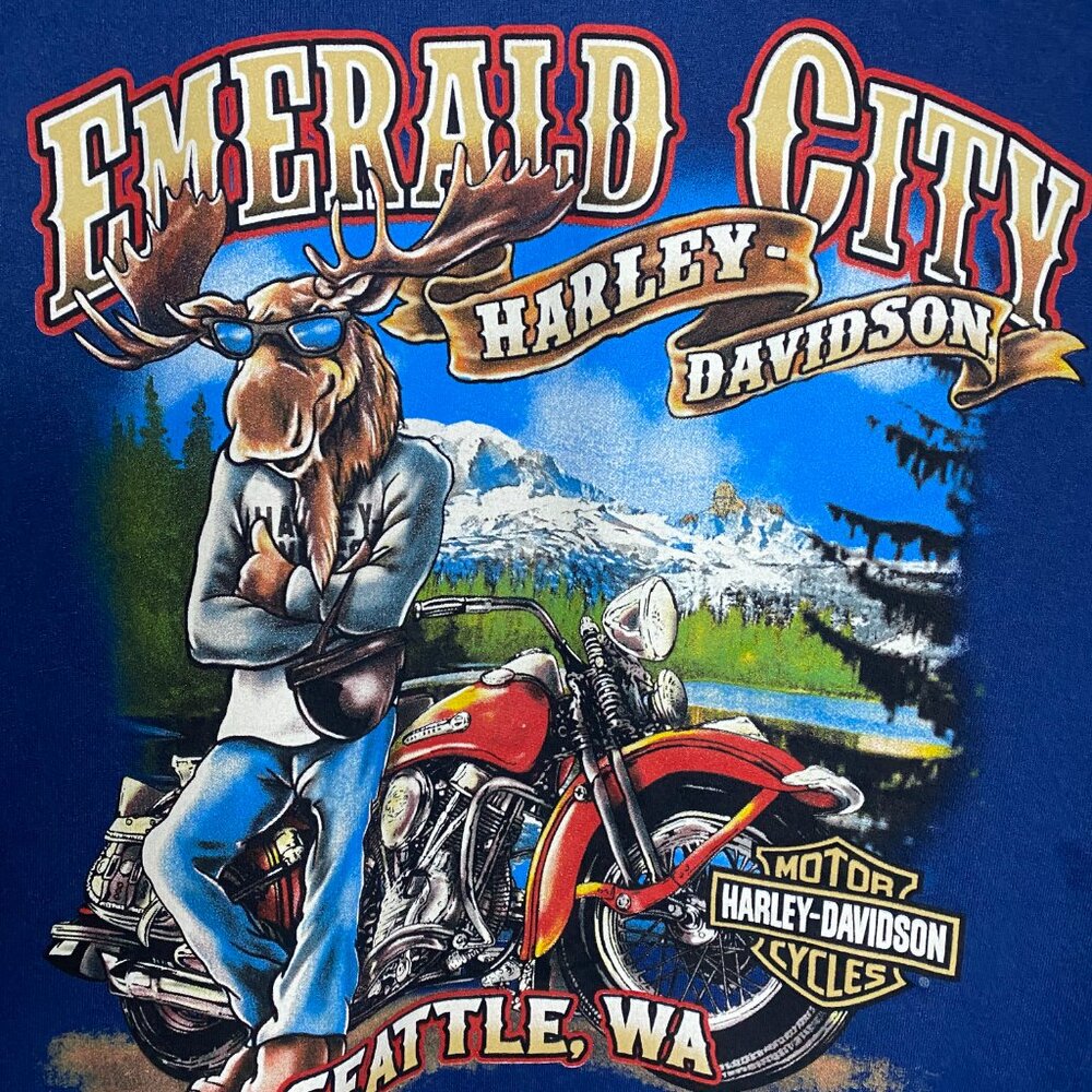 Licensed Harley-Davidson Hoodie